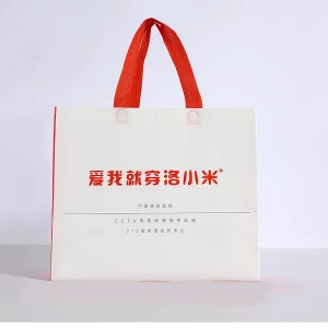 Front view of custom clothing fashion paper nonwoven bag with red handle